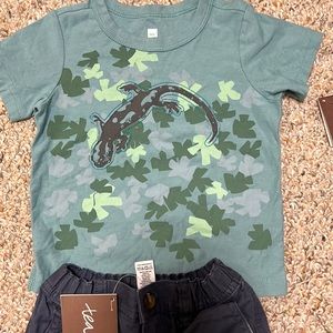 NWT Tea Collection Boys Outfit